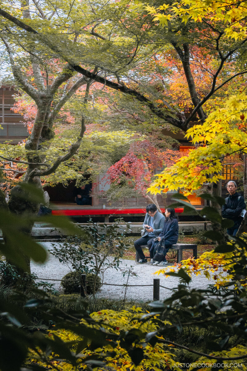 Two people resting on a bunch under the autumn leaves