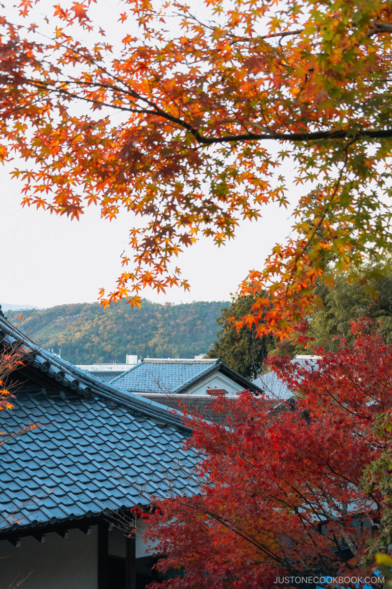 Orange and red autumn leaves next to traditional Japanese temple roof architecture.