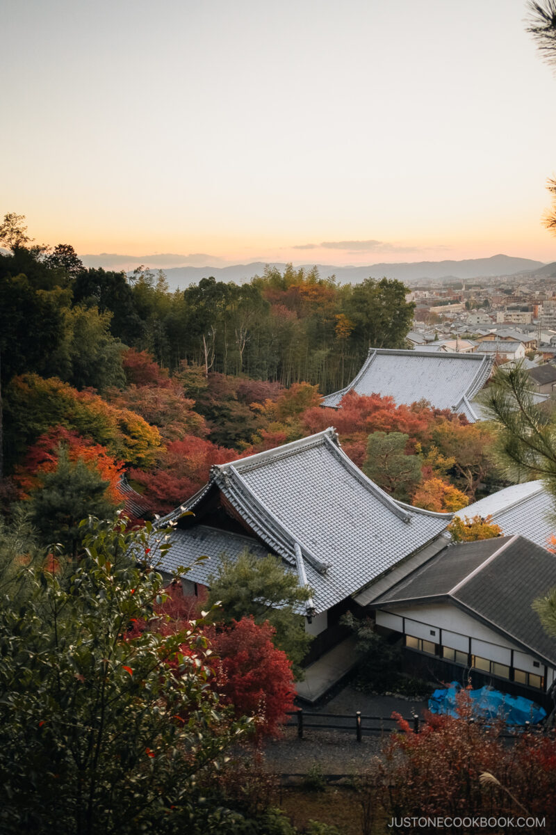 Overlooking the autumn leaves at Enkouji and Kyoto with mountains in the background at sunset.