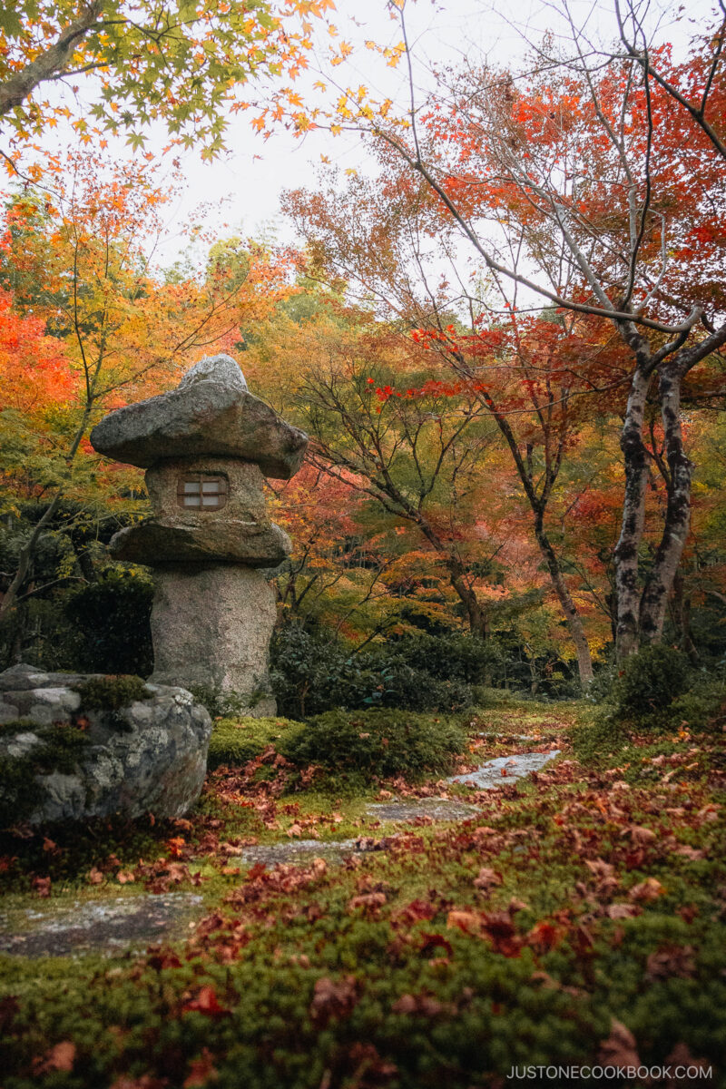 Stone lantern and stone pathway under the autumn leaves