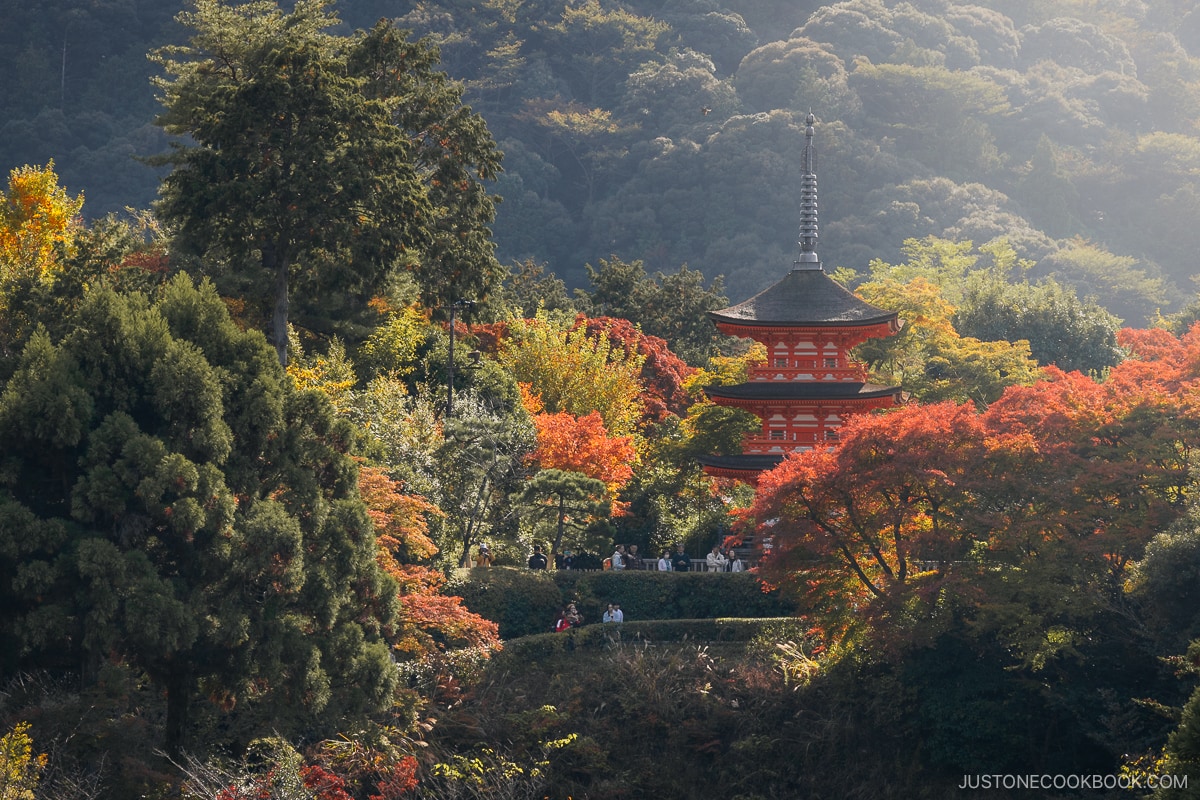 Three storied pagoda surrounded by autumn leaves