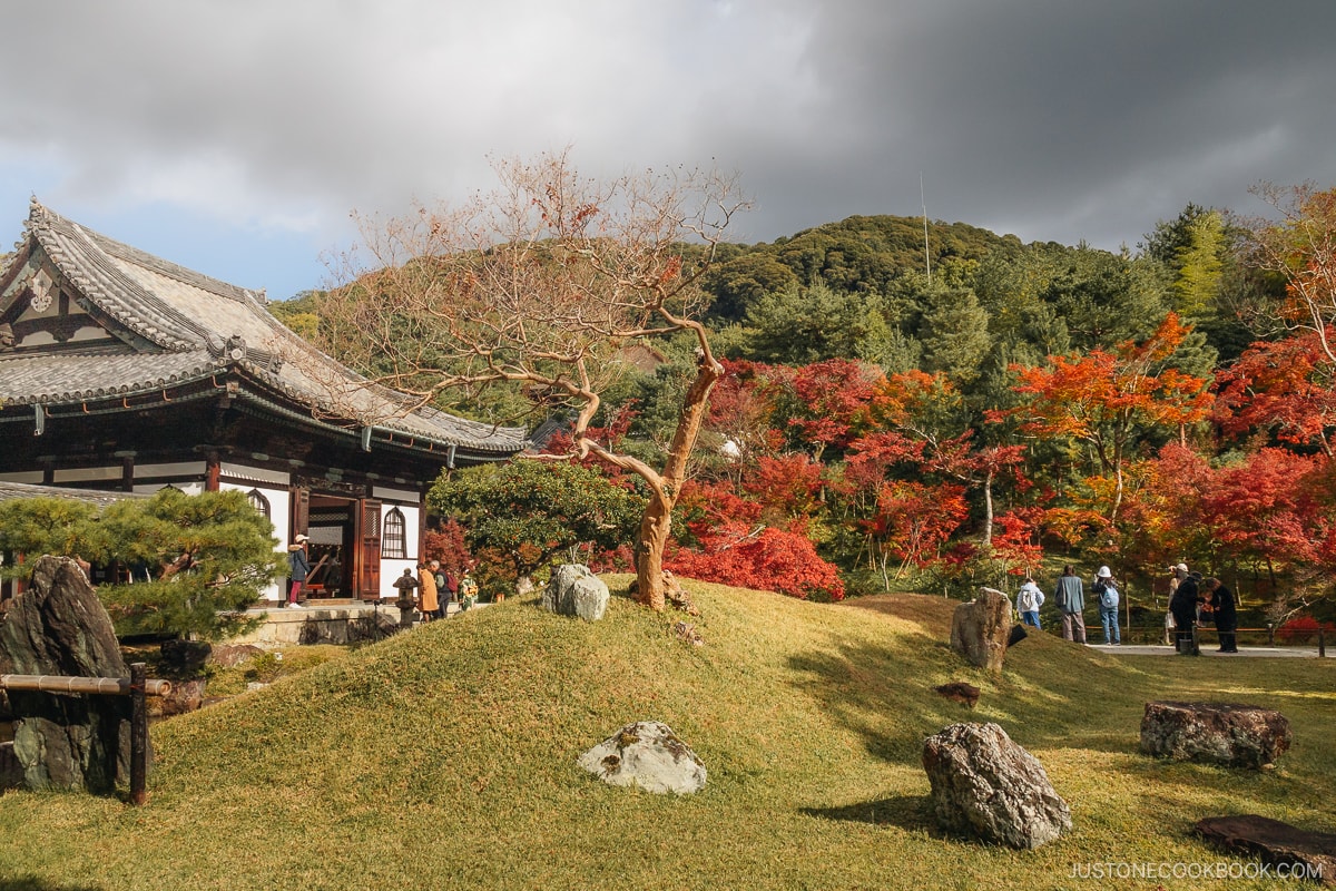 Kodai-ji garden with autumn leaves