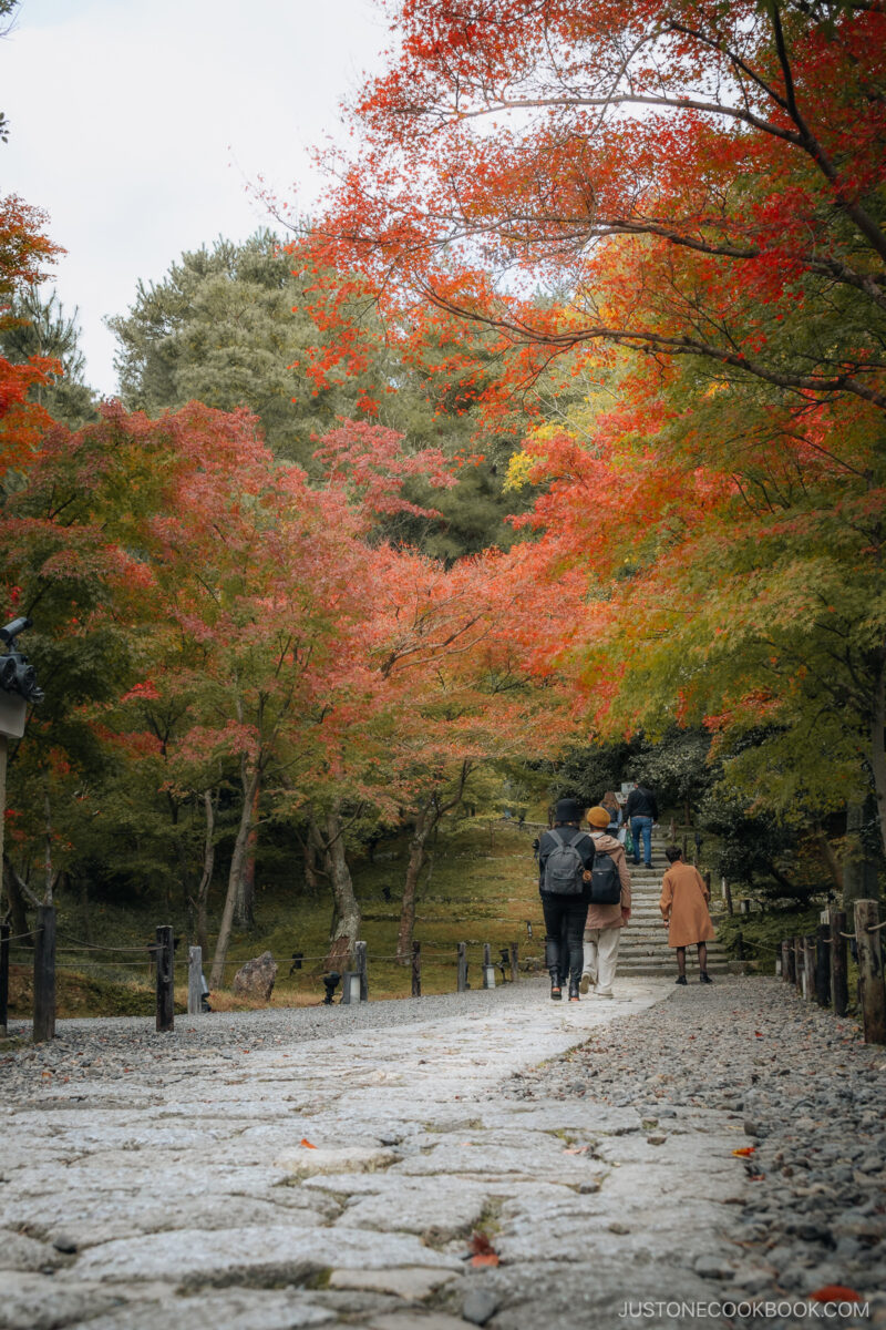 Stone pathway lined with autumn leaves