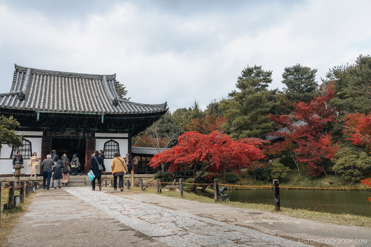 Stone pathway leading to a shrine next to a pond and red autumn leaves