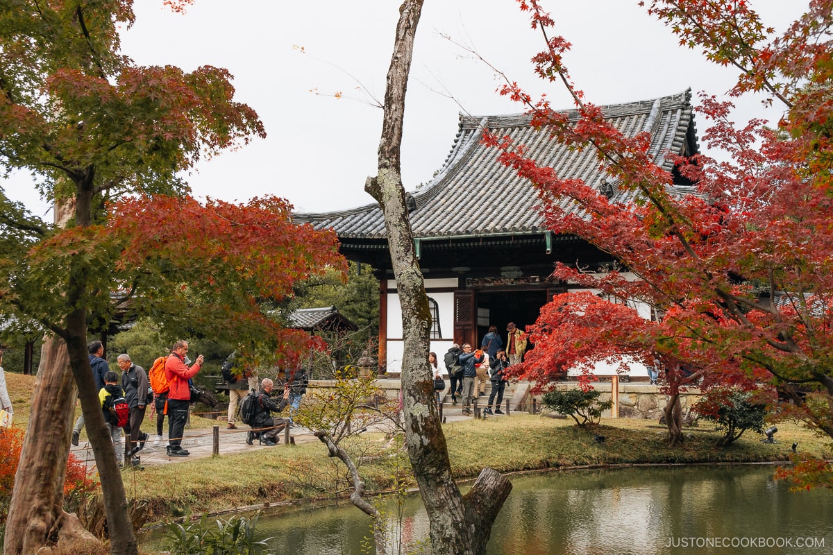 Stone pathway leading to a shrine next to a pond and red autumn leaves