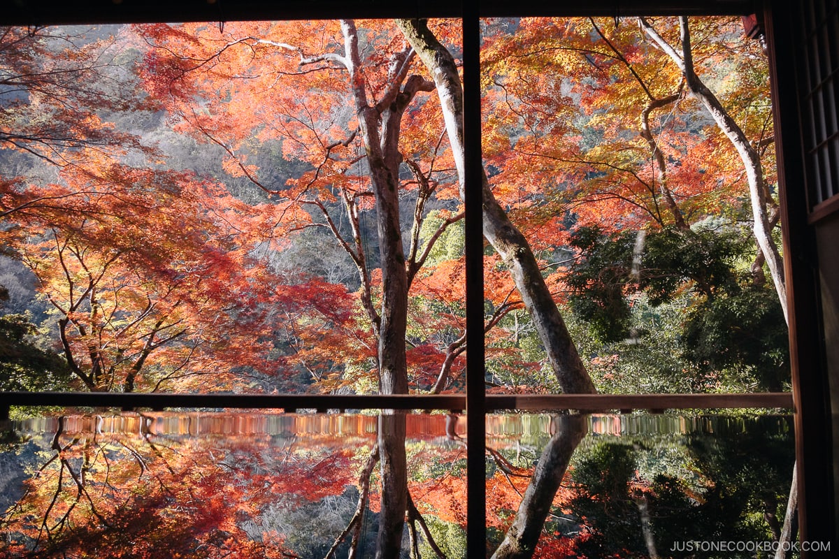 Colorful autumn leaves reflected in a table