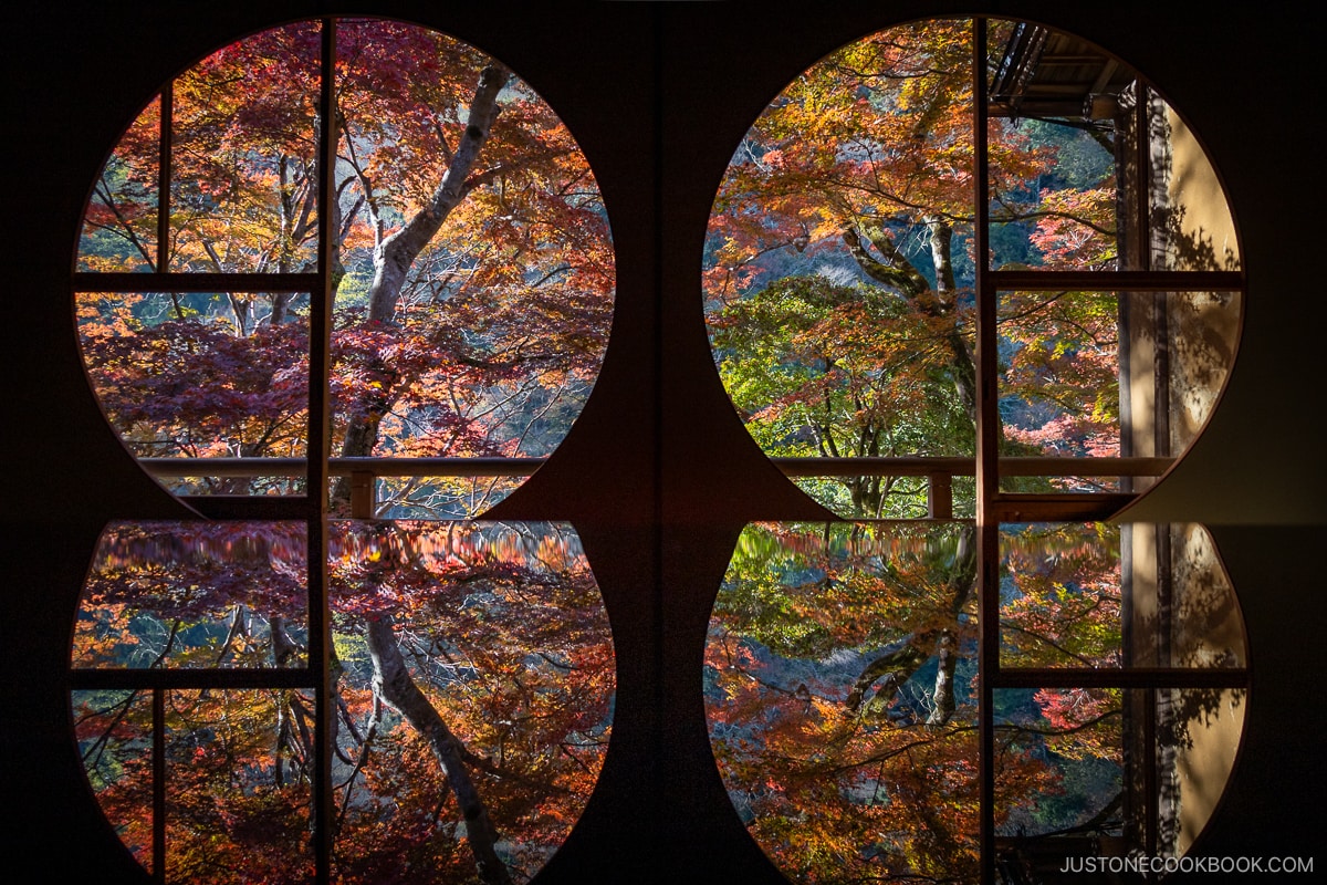 Two circular windows with a view of colorful autumn leaves that are reflected in a table