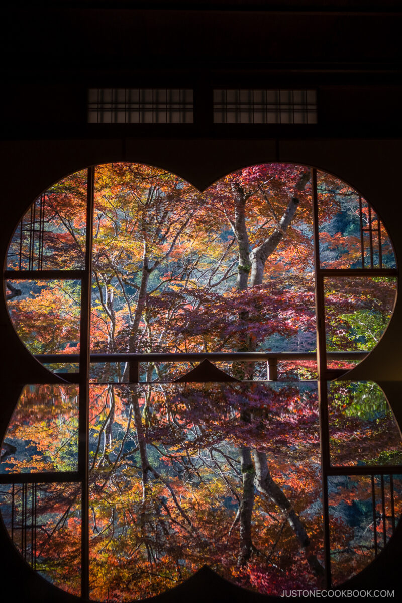 Two circular windows with a view of colorful autumn leaves that are reflected in a table