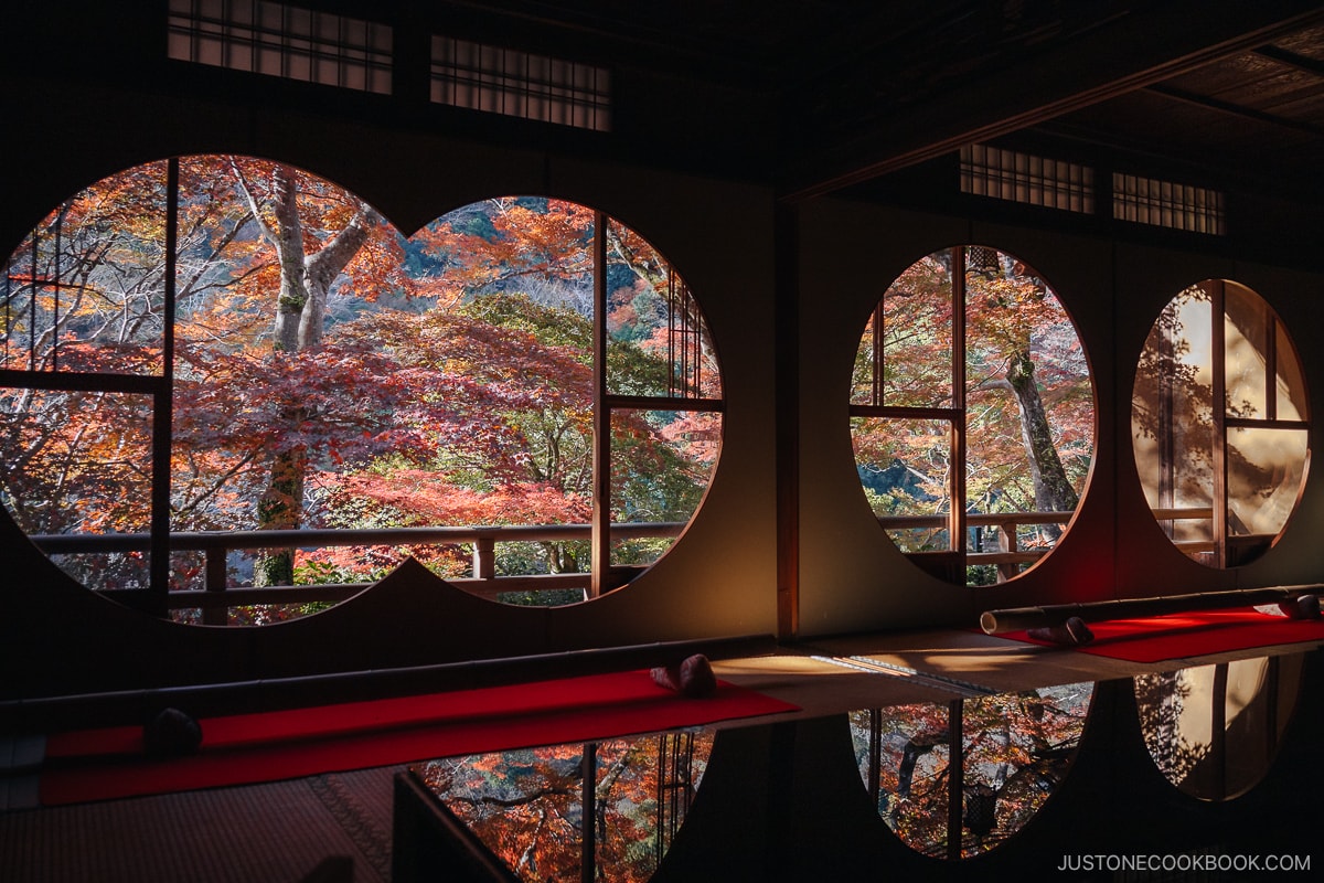 Citcular windows showing views of the colorful autumn leaves