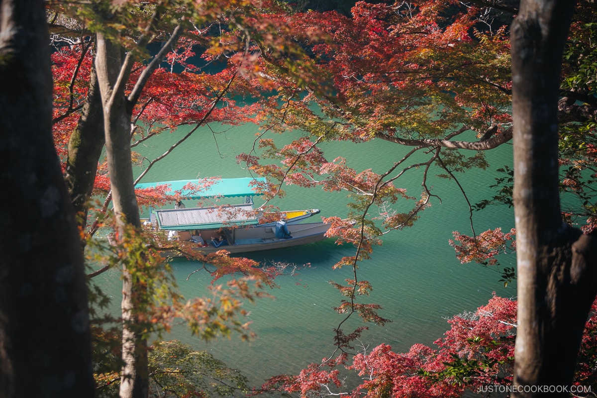 Red autumn leaves with a boat in the background