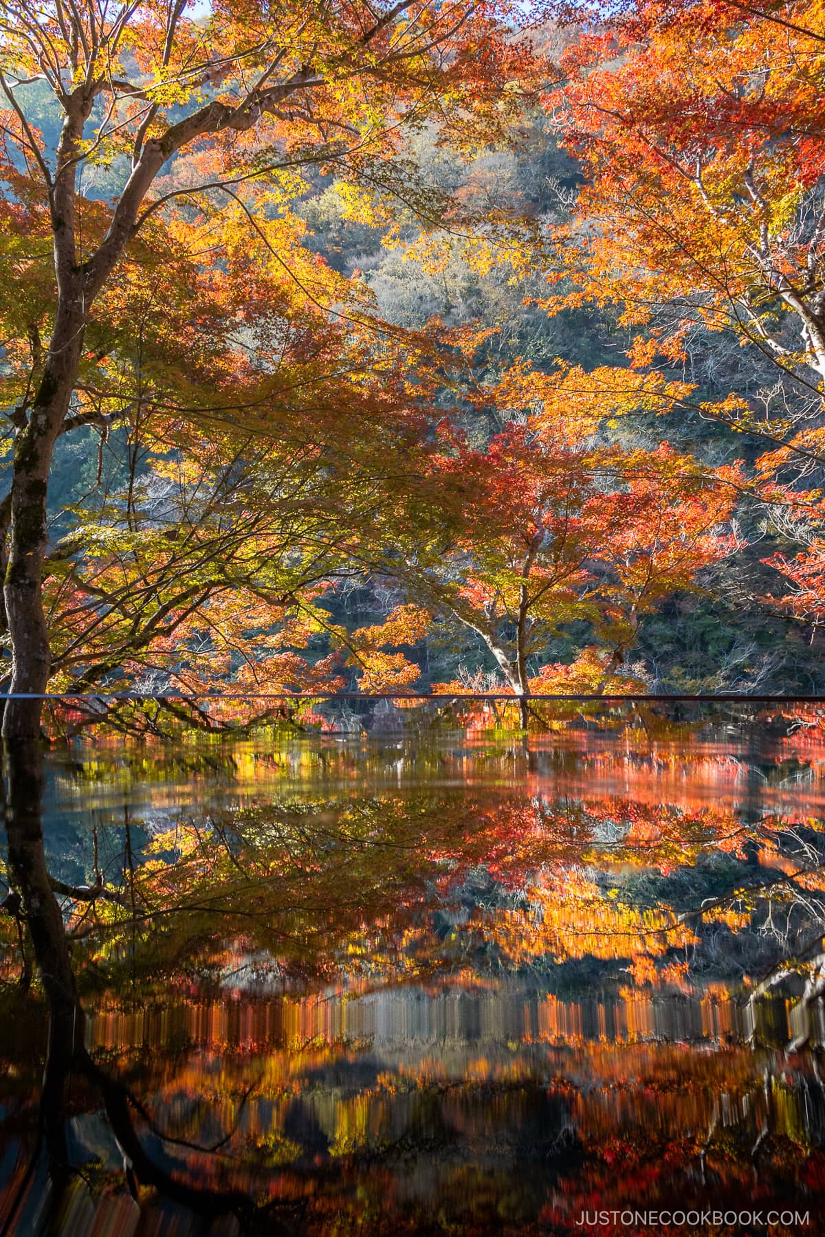Colorful autumn leaves reflected in a table of water