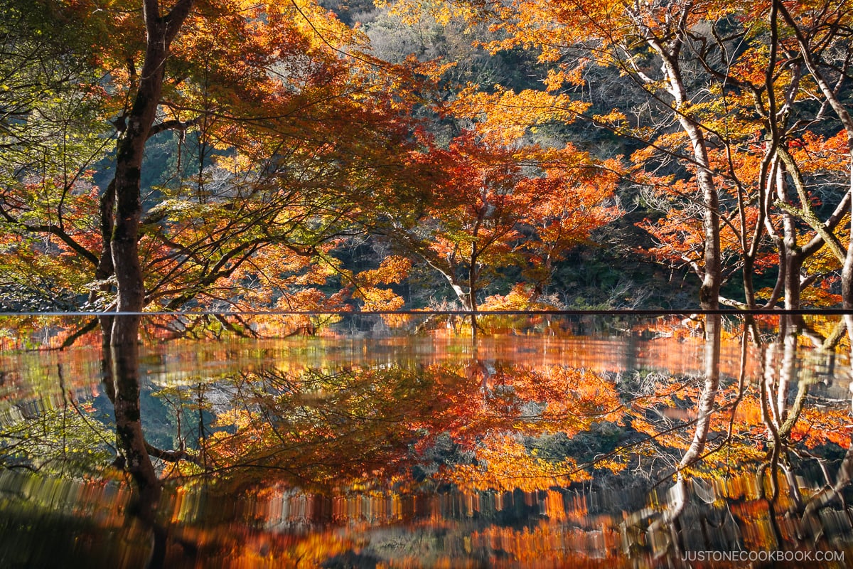 Colorful autumn leaves reflected in a table of water