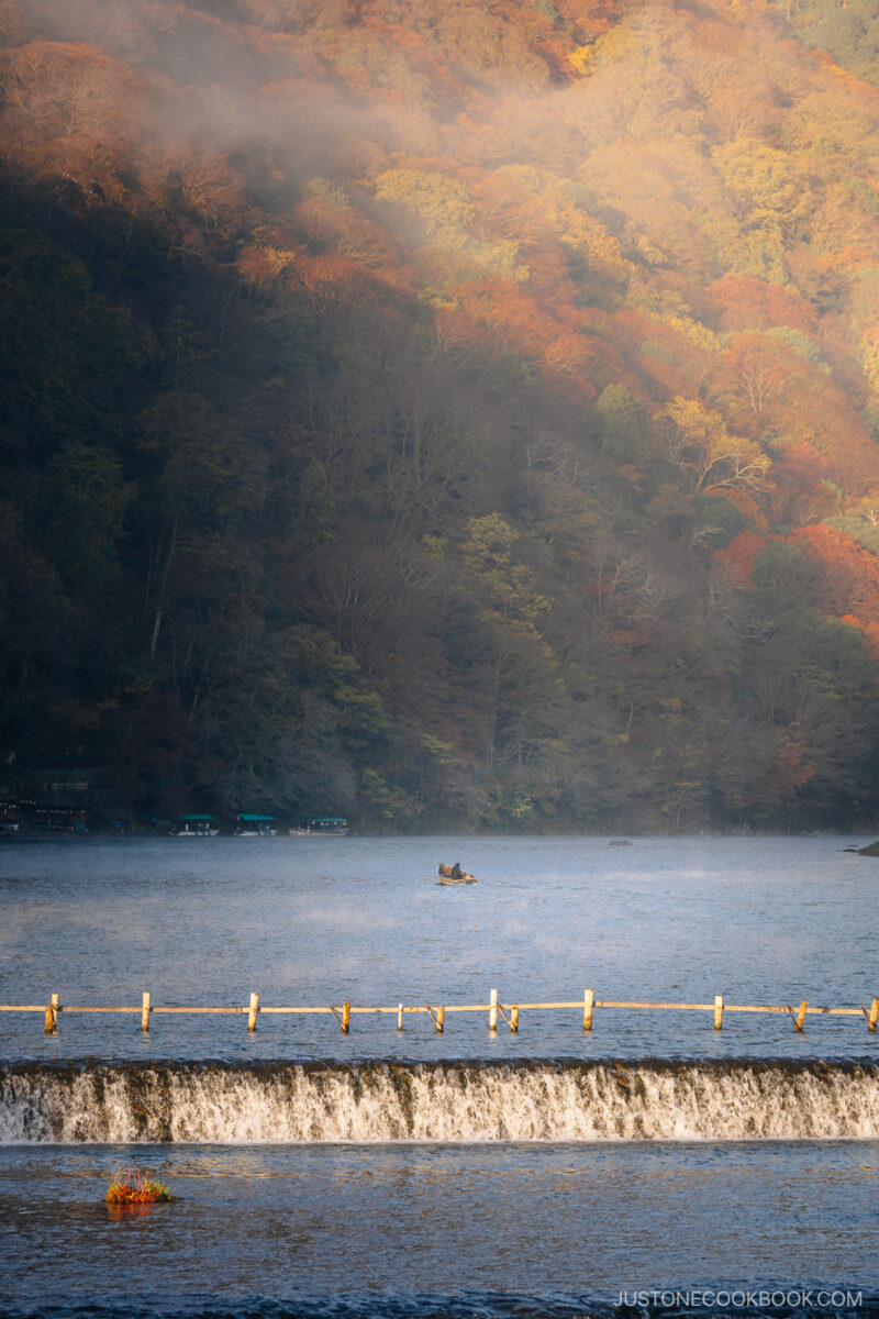 Person rowing a boat on a river with autumn leaves in the background