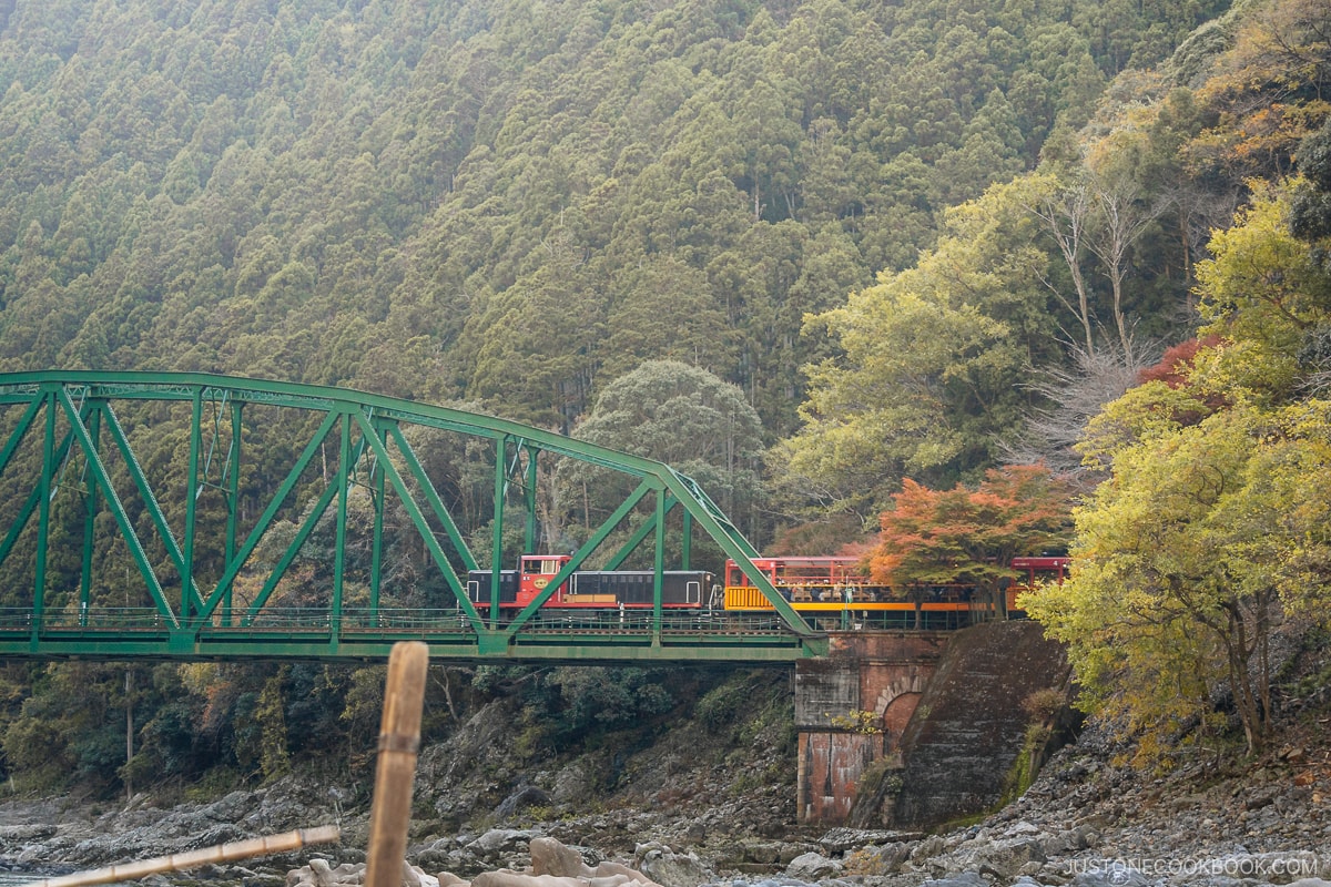 Train passing through a bridge in the mountains