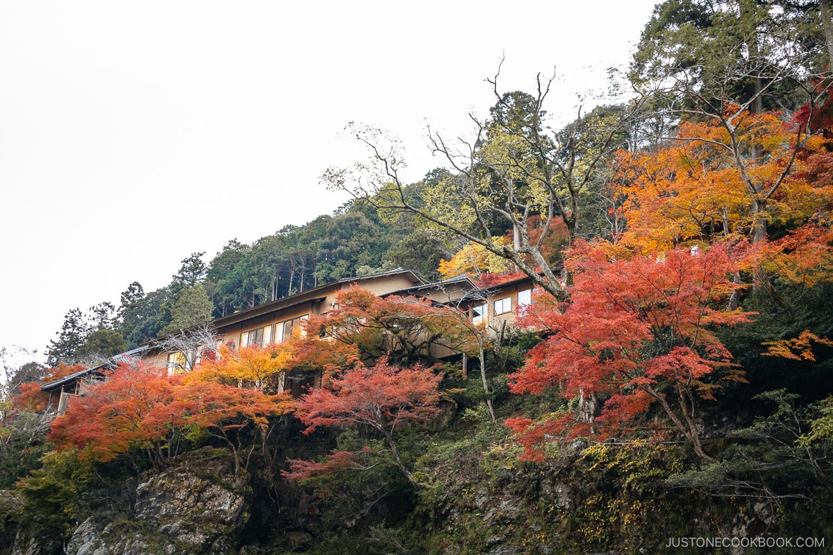 Hotel building on a cliff with colorful autumn leaves