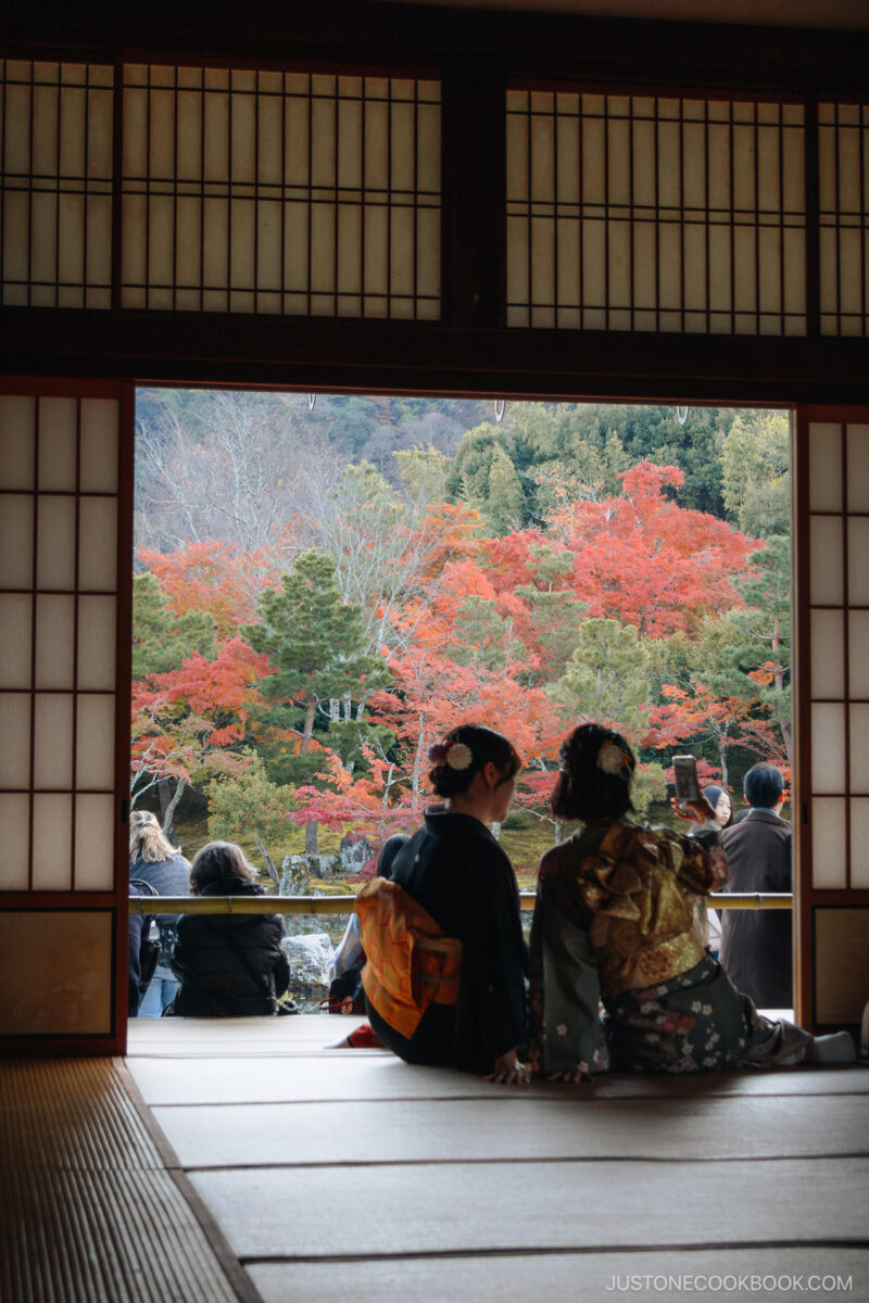 Two girls wearing kimonos that are sitting in a tatami room overlooking the autumn leaves