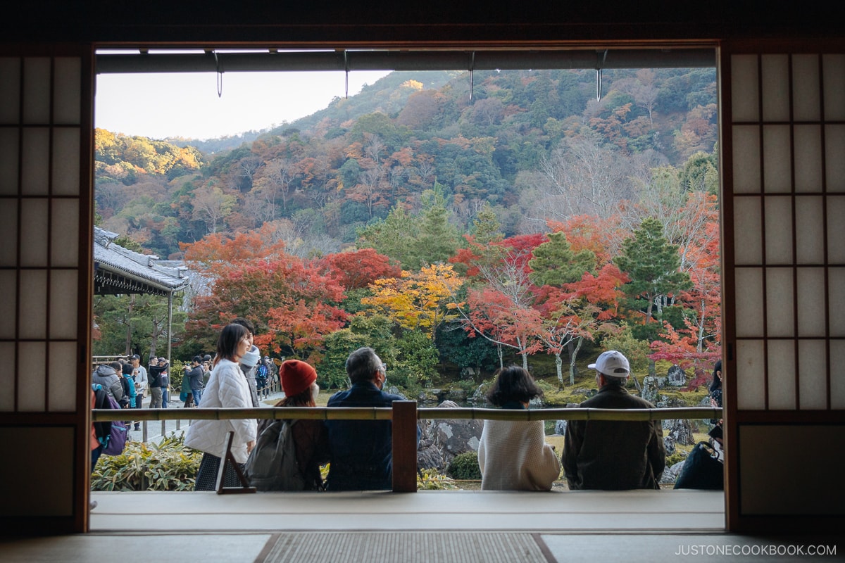 View from a tatami room overlooking the autumn scenery