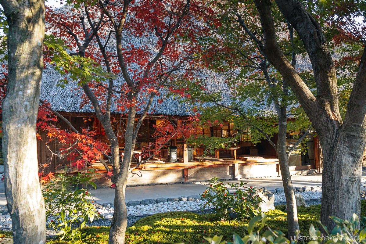 Cafe terrace surrounded by autumn leaves