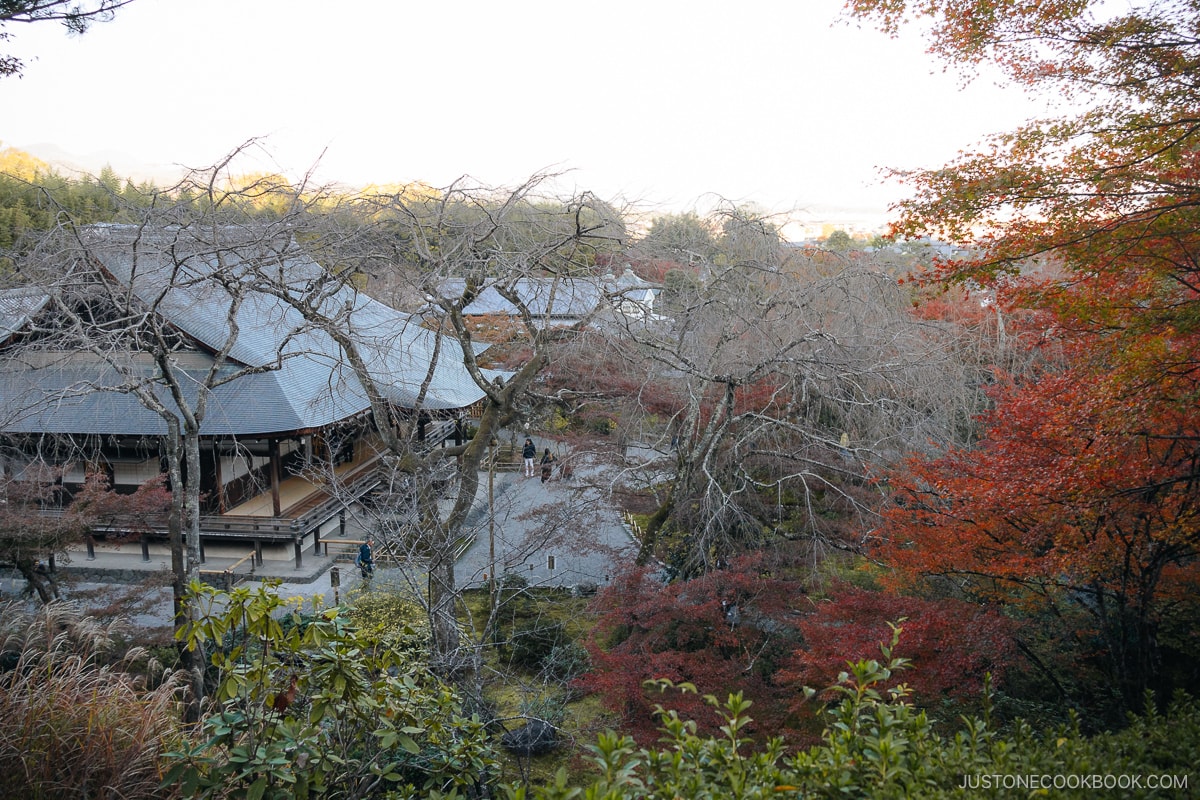 Overlooking temple structure and garden