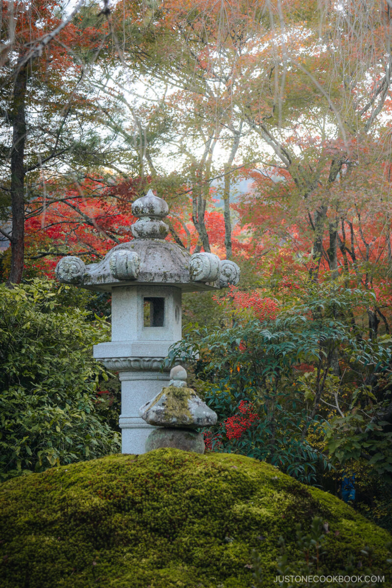 Stone lantern in the middle of trees
