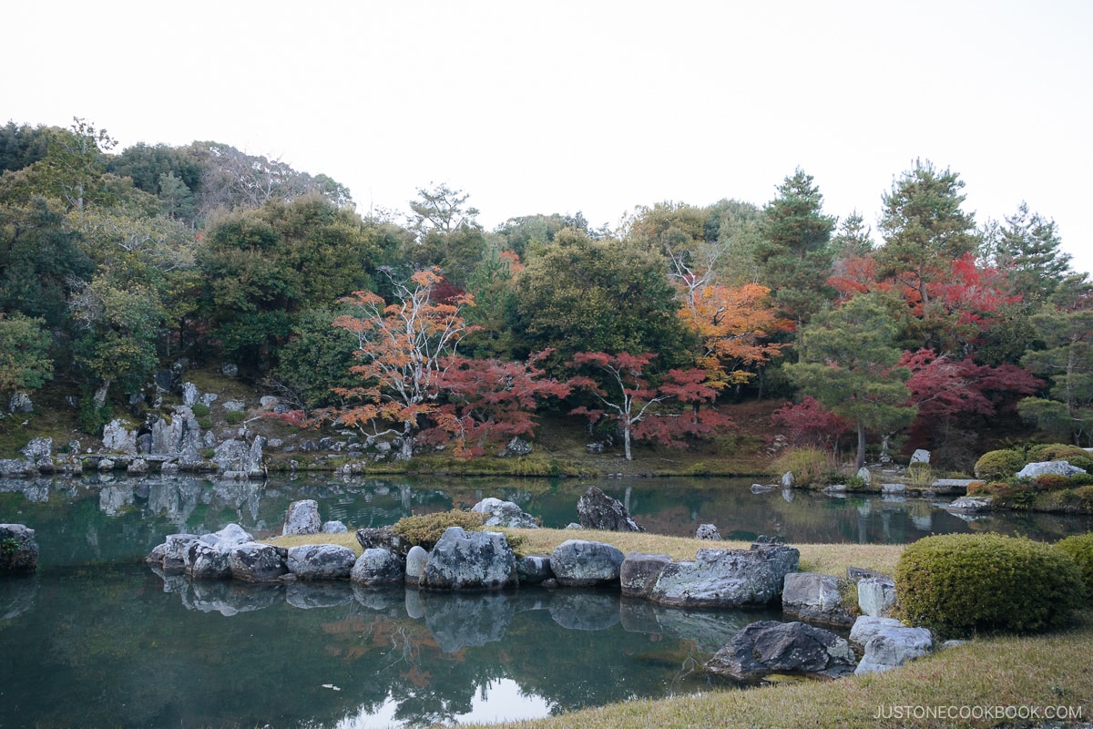 Autumn leaves reflected in a pond