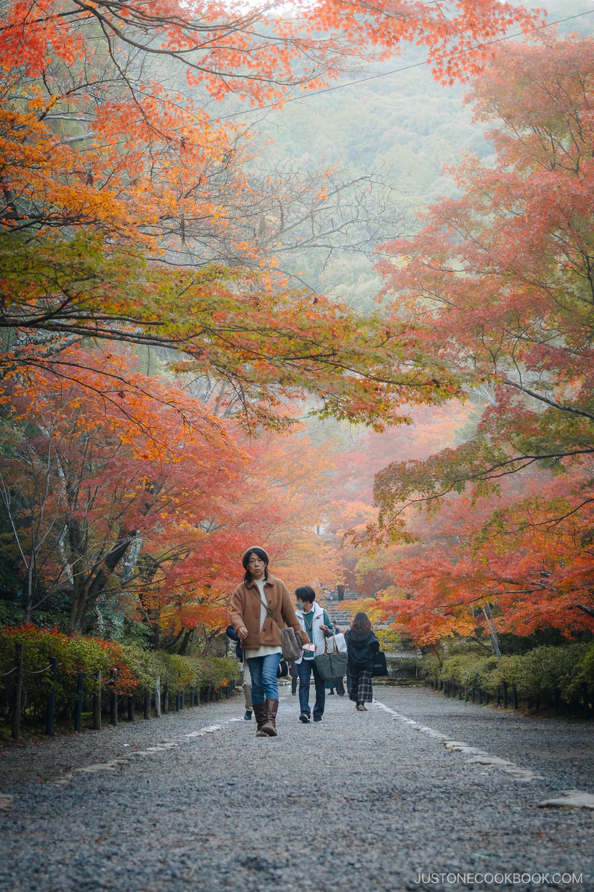 Stone pathway with overhanging autumn leaves on a foggy day