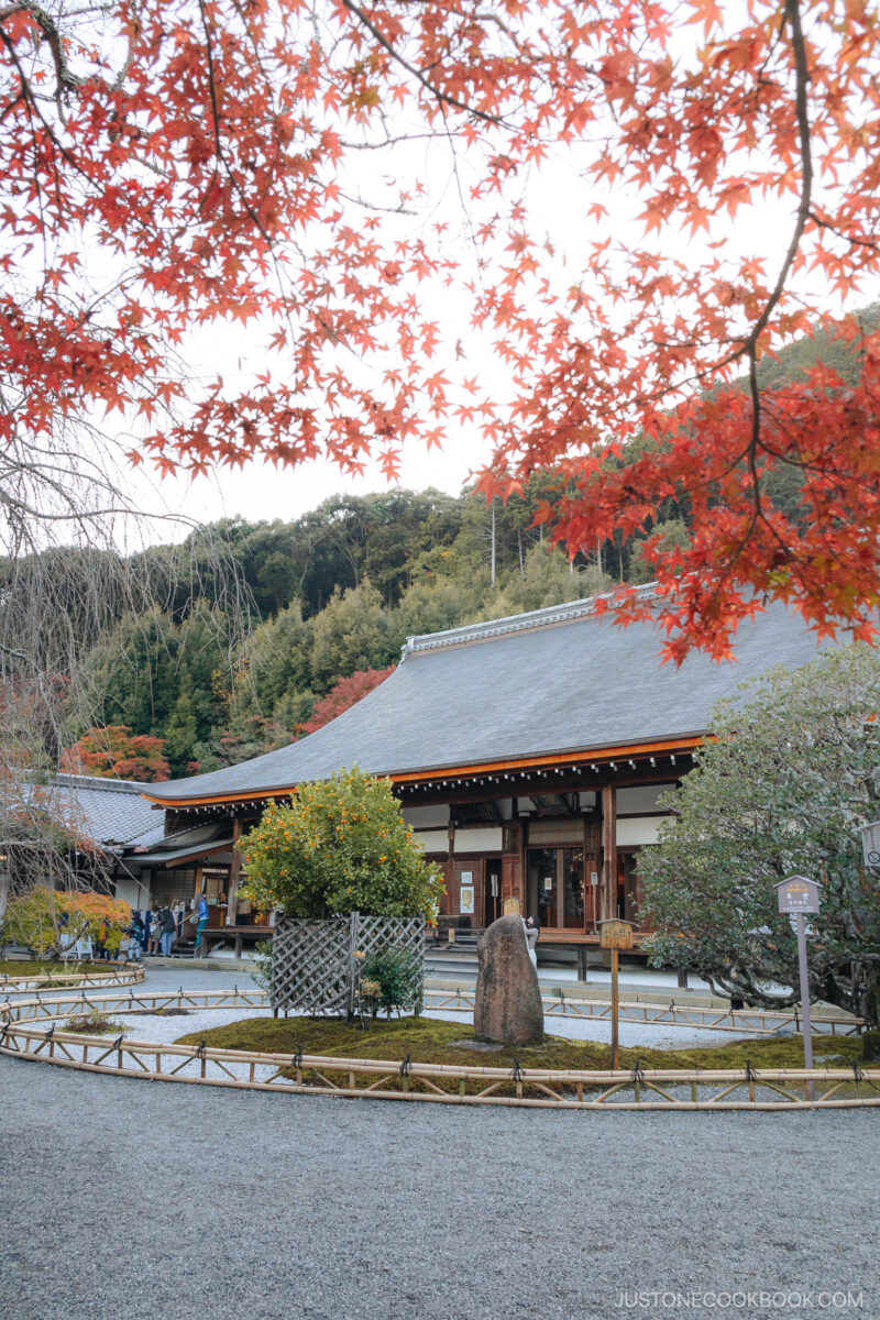 Temple with red maple leaves in the foreground