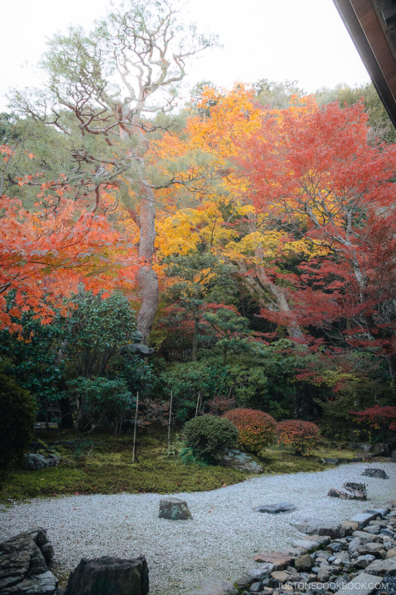 Temple garden with colorful autumn leaves