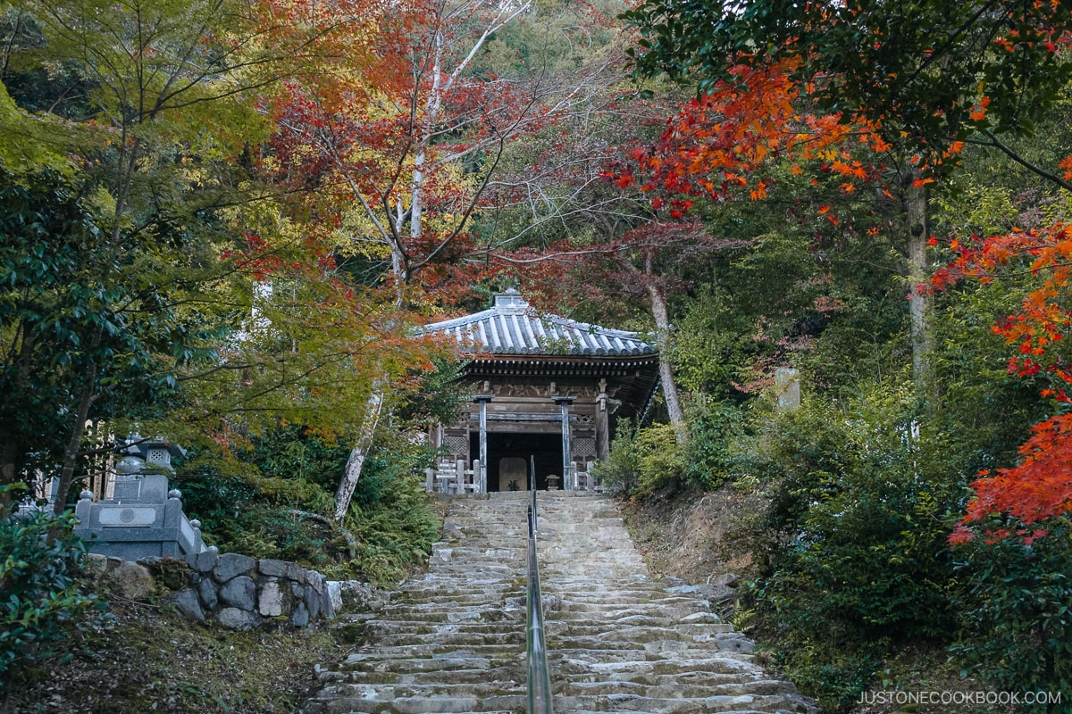 Stone stairwell leading to shrine