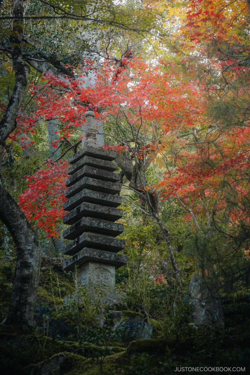 Stone pagoda statue amongst a forest