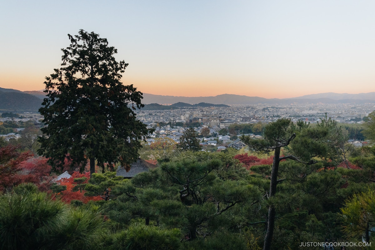View overlooking Kyoto city and mountains with a pagoda and autumn leaves in the foreground