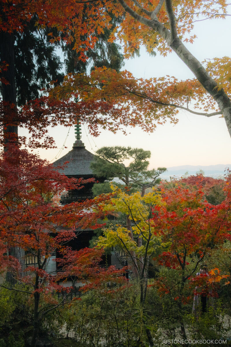 View overlooking Kyoto city and mountains with a pagoda and autumn leaves in the foreground
