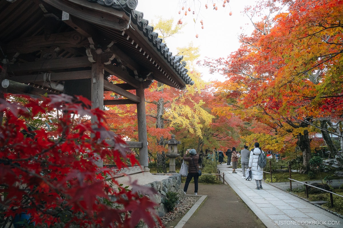 Stone walkway and bell tower surrounded by colorful autumn leaves