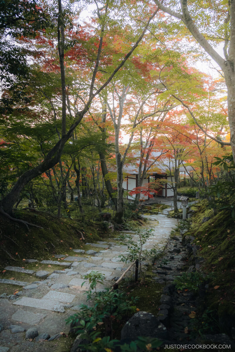 Descending stone stairwell in a temple garden