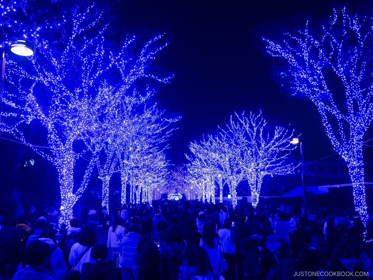 Street lined with blue illuminated trees