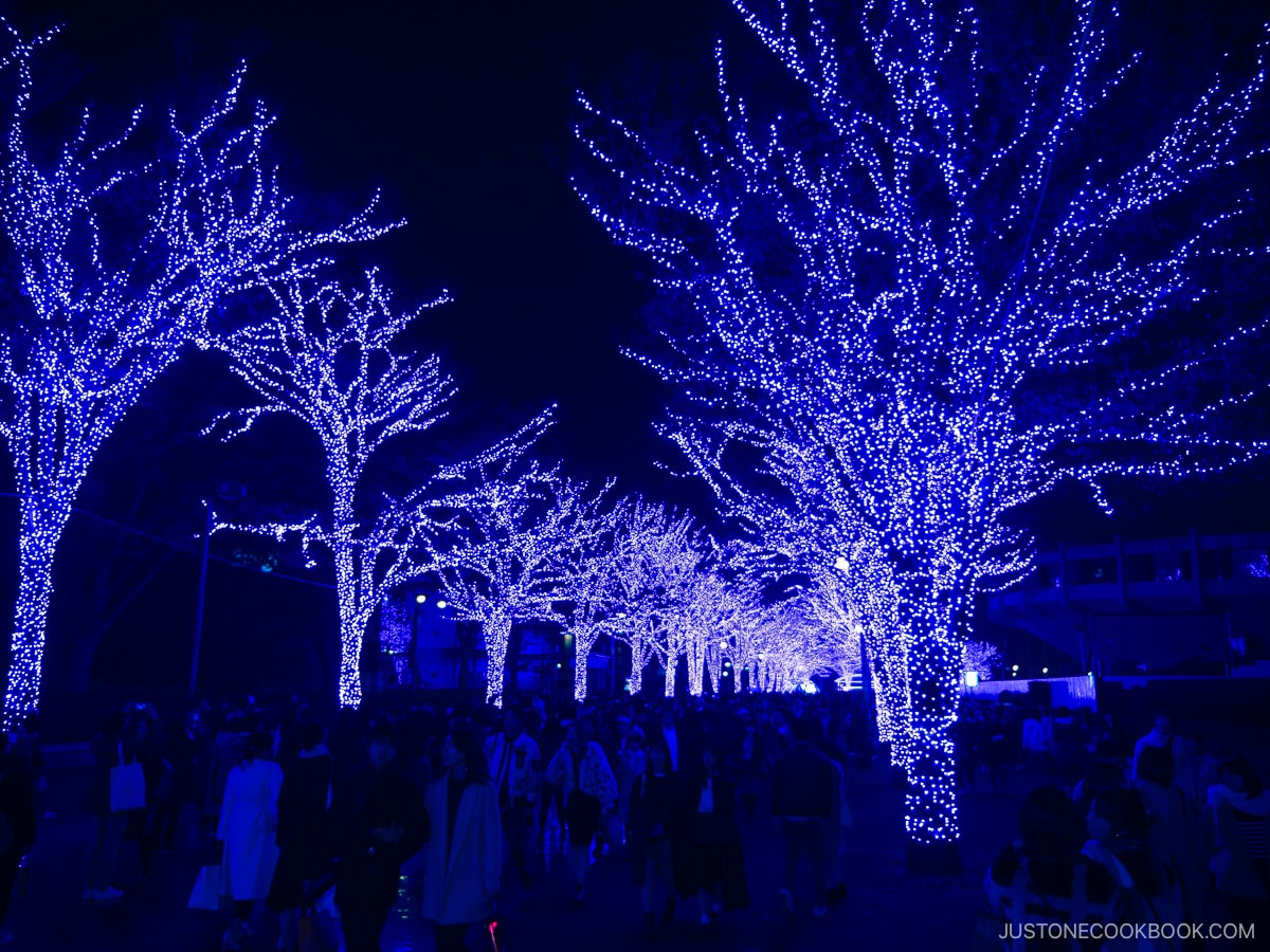 Street lined with blue illuminated trees