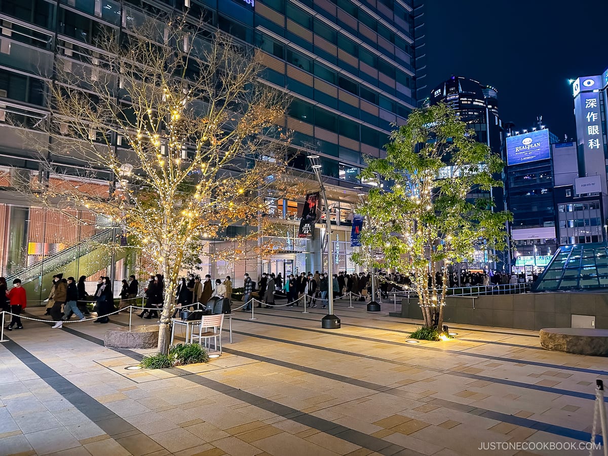 Building courtyard with two illuminated trees