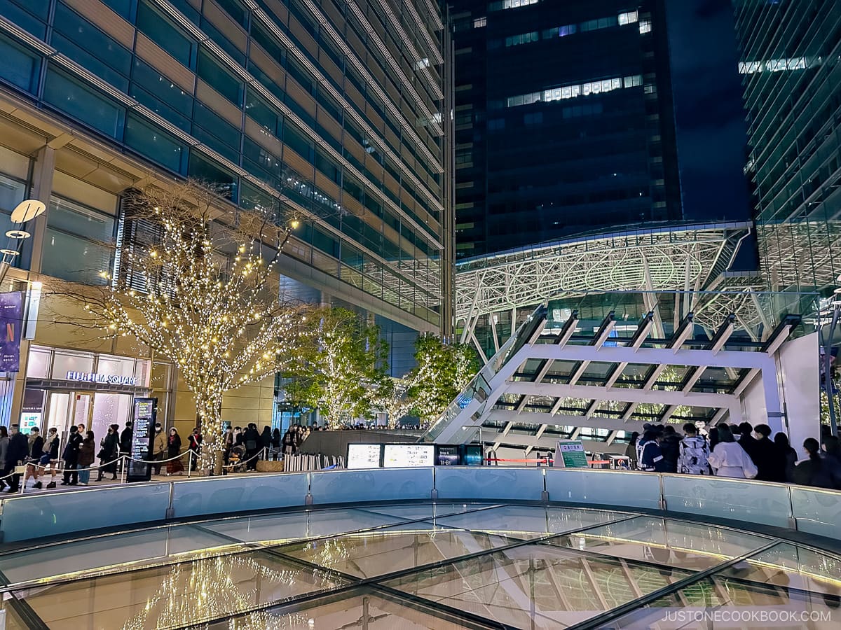 Building courtyard with two illuminated trees