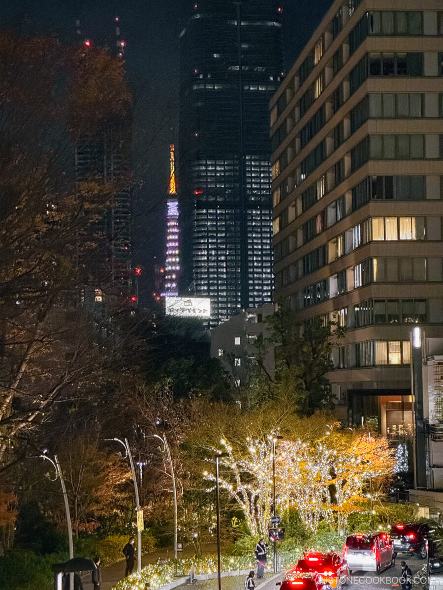 Illuminated trees with Tokyo Tower in the background