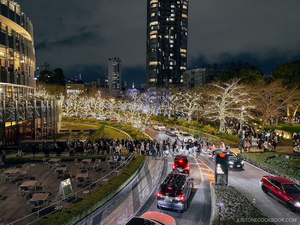 Roppongi Midtown illuminated trees.