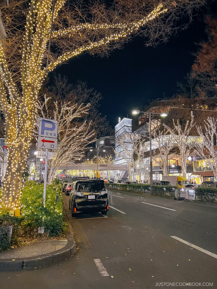 Parked cars in front of illuminated trees