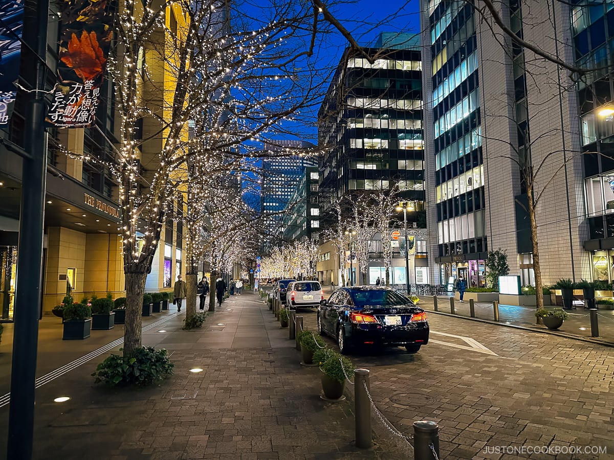 City side streets with illuminated trees under highride buildings