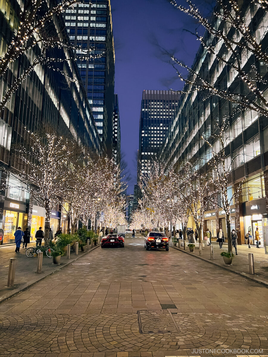 City side streets with illuminated trees under highride buildings