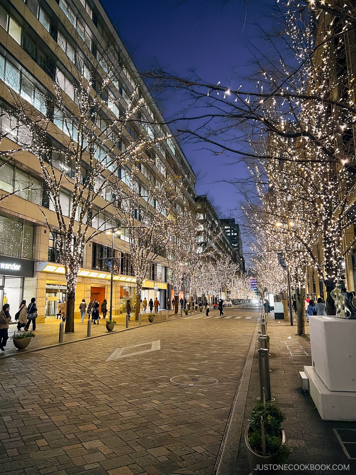 City side streets with illuminated trees under highride buildings