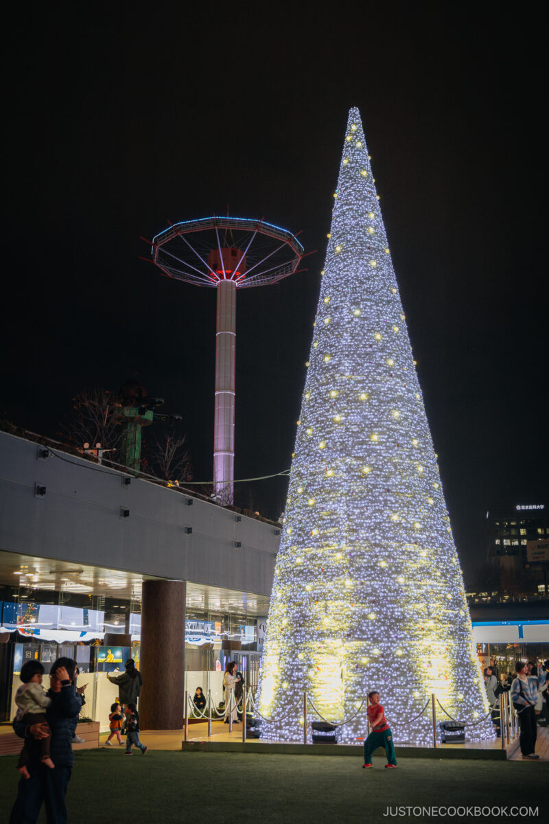 Illuminated cone shaped Christmas tree