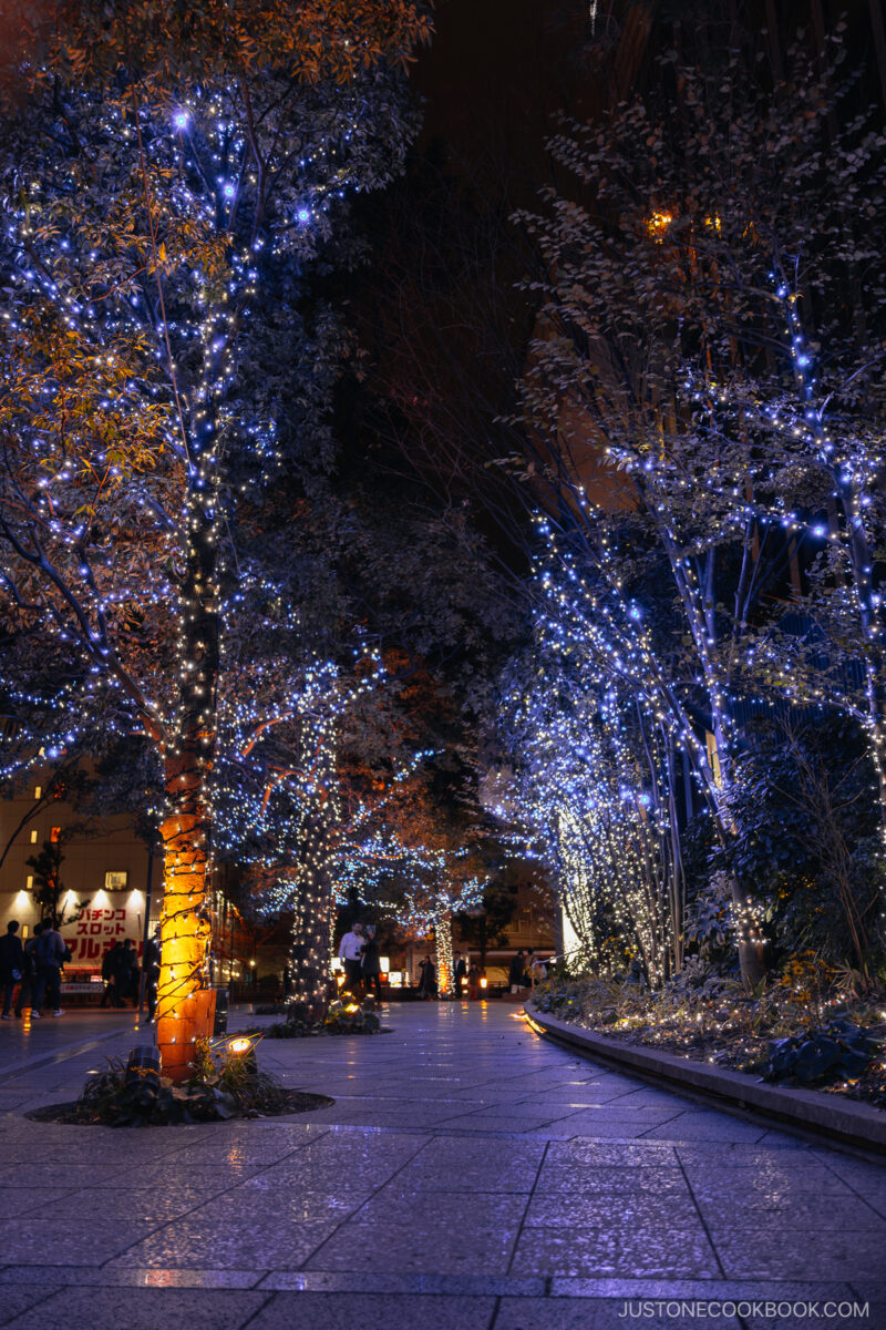 Illuminated trees in front of a shopping mall