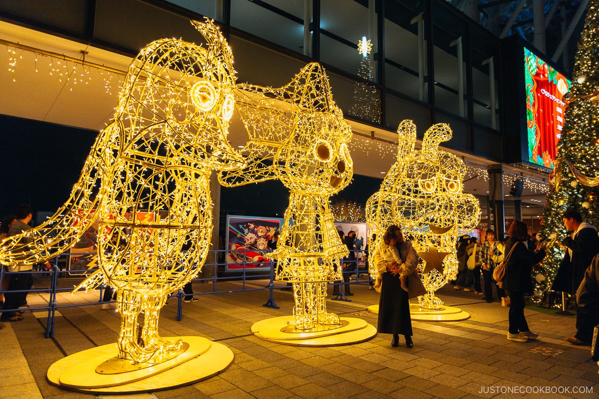 Large illuminated characters