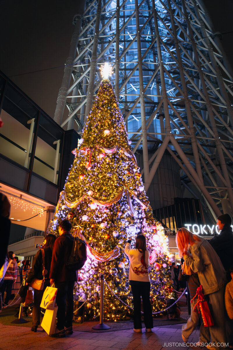 Decorated and illuminated Christmas Tree