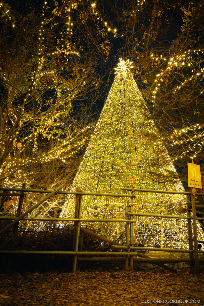 Yellow illuminated cone shaped Christmas tree
