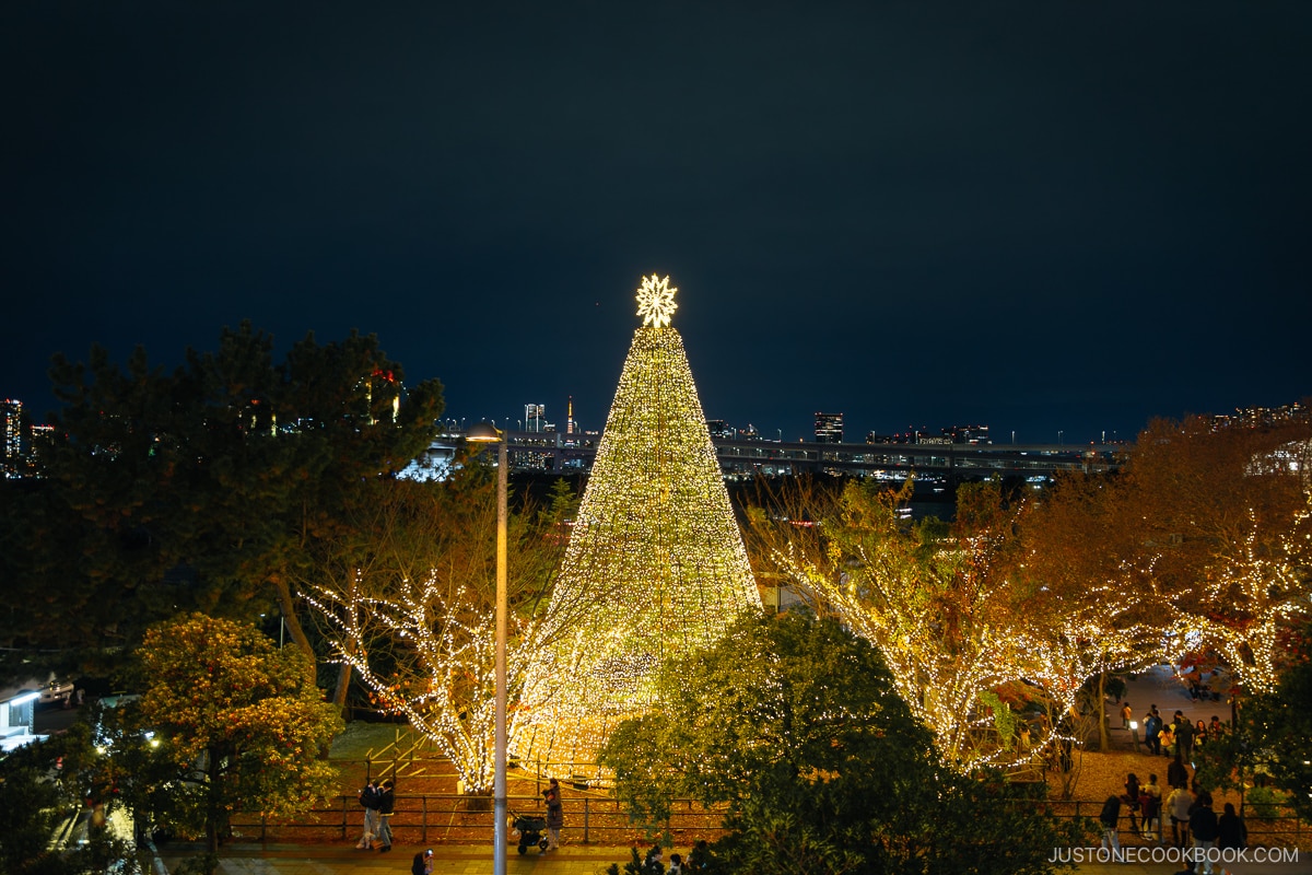 Illuminated cone shaped Christmas Tree